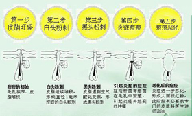 ���ݷ���Ƥ����ҽԺ