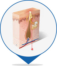 ���ݷ���Ƥ����ҽԺ